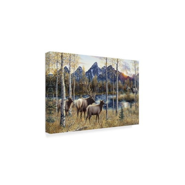 Jeff Tift 'Autumn Rival' Canvas Art,16x24